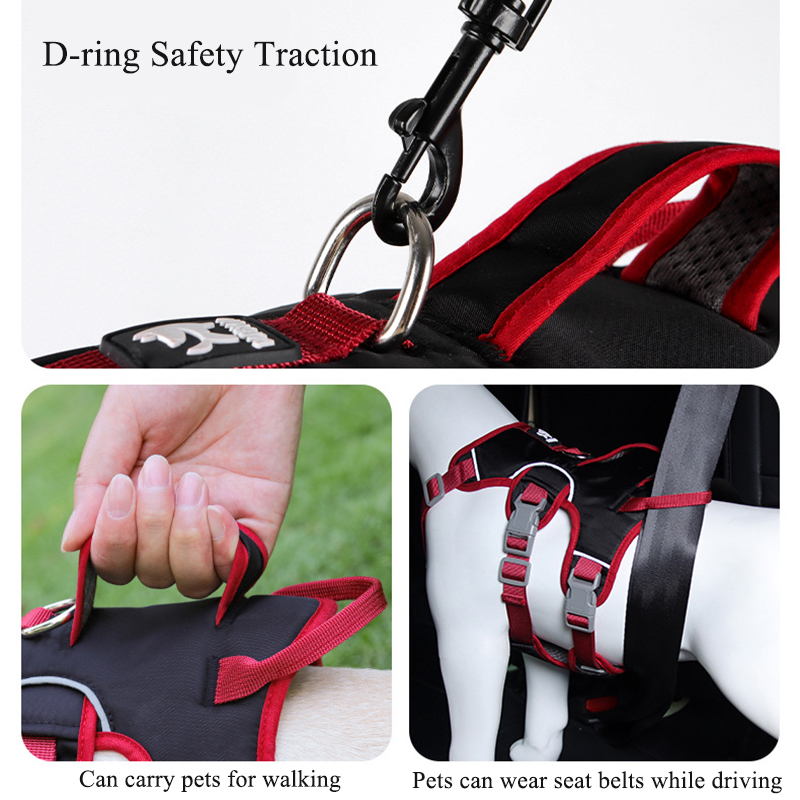 Harnais anti-traction pour chi - D Ring Strap avis et prix